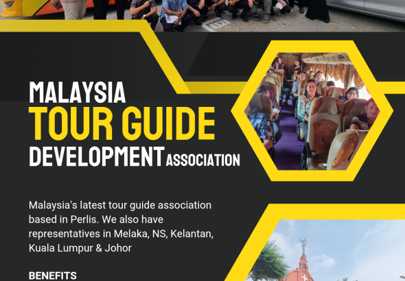 Dark Grey and Yellow Modern Heavy Equipment Rental Flyer_20250312_025204_0000 (1)